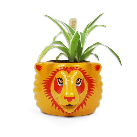 Harry Potter Gryffindor Plant Pot
