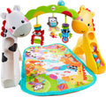 Fisher Price Newborn-to-Toddler Play Gym