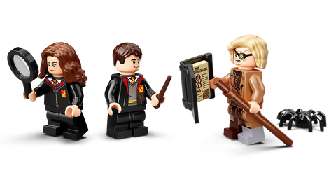 Lego 76397 Harry Potter Hogwarts™ Moment Defence Class | Damaged Packaging