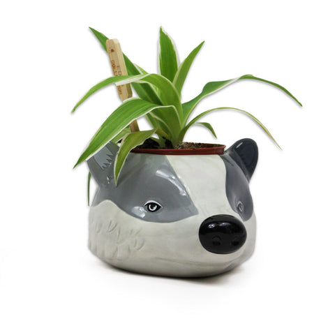 Harry Potter Hufflepuff Plant Pot