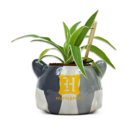 Harry Potter Hufflepuff Plant Pot