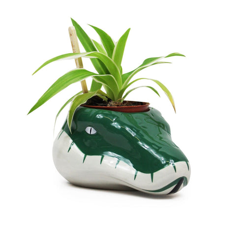 Harry Potter Slytherin Plant Pot