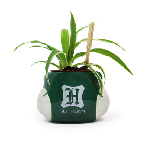 Harry Potter Slytherin Plant Pot