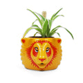 Harry Potter Gryffindor Plant Pot