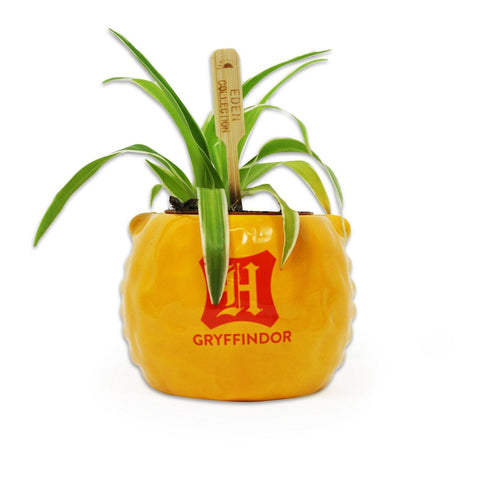 Harry Potter Gryffindor Plant Pot