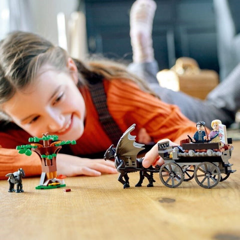 Lego 76400 Harry Potter Hogwarts Carriage & Thestrals | Damaged Packaging